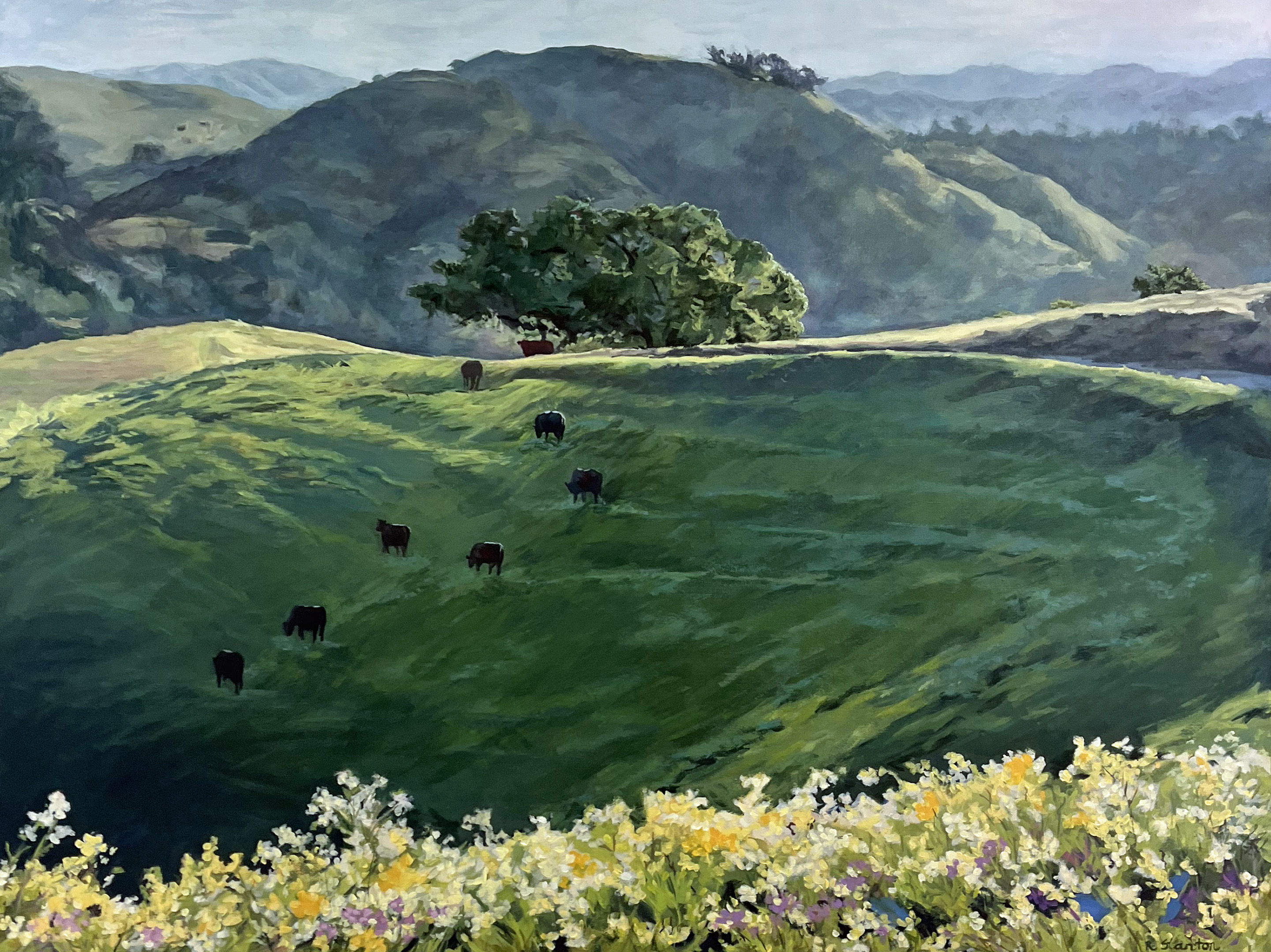 StantonRuth_Cow Mountain_30x40_November 12 painting